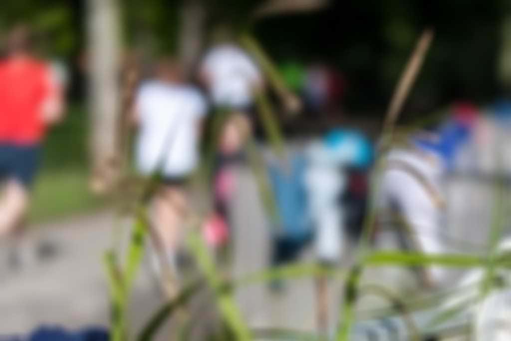 park_summer.jpg blurred out