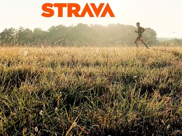 strava_ea_fr-heroimageJPGsm2.jpg
