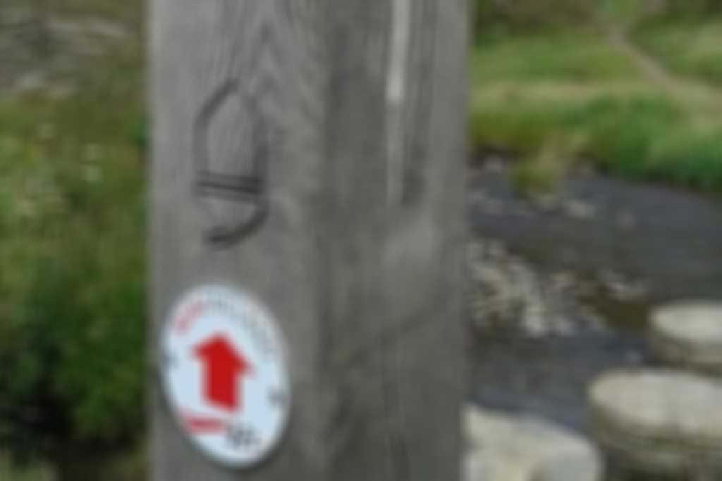 NT321Bideford.jpg blurred out