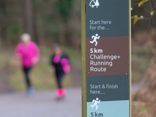 Forestry England4jpg.jpg