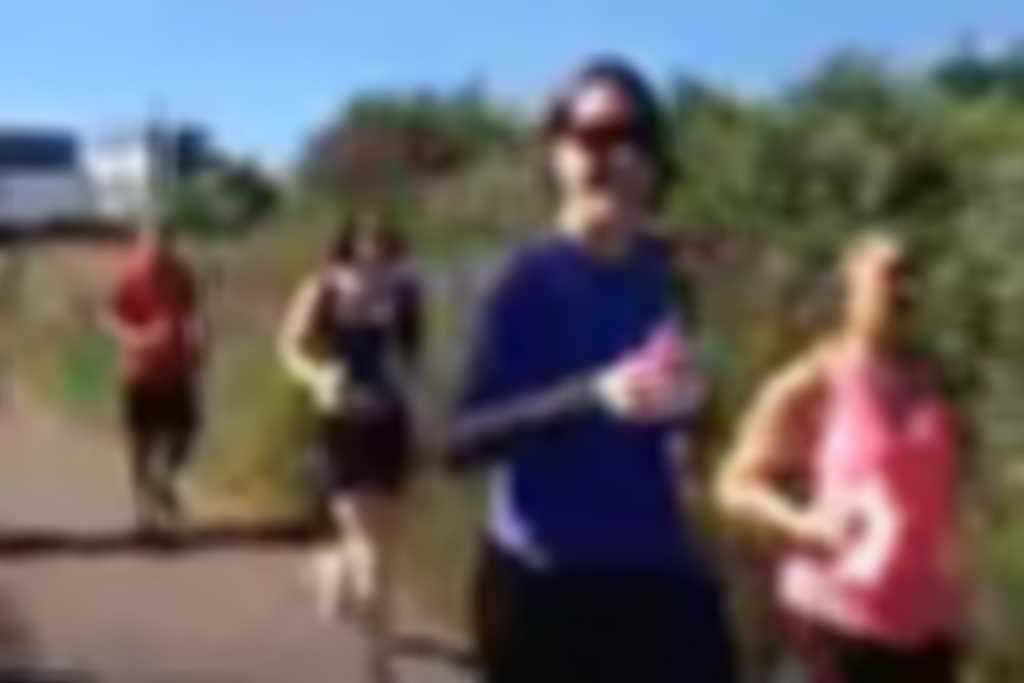 schoolgatevideo300.jpg blurred out