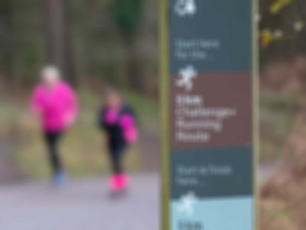 Forestry England4jpg.jpg blurred out