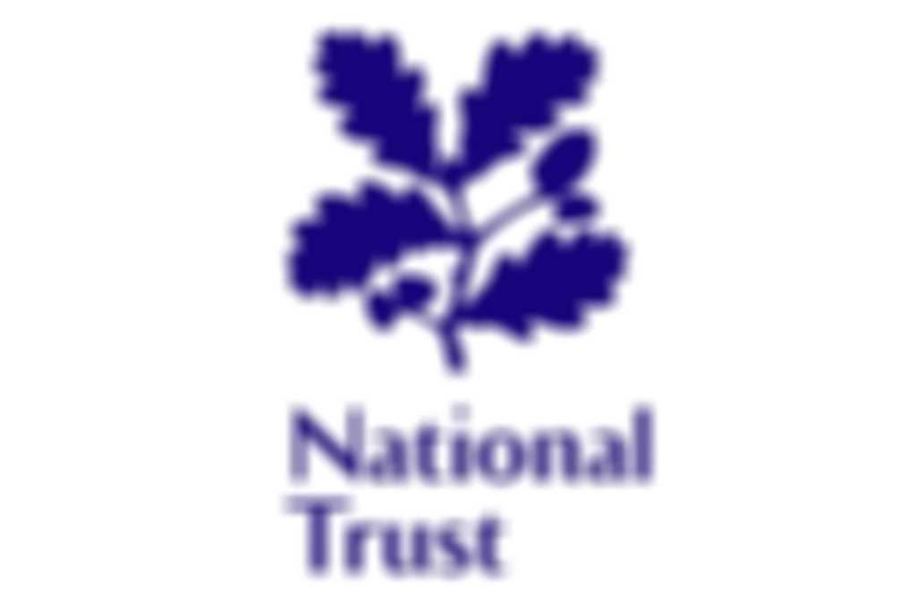 NT_logo.jpg blurred out