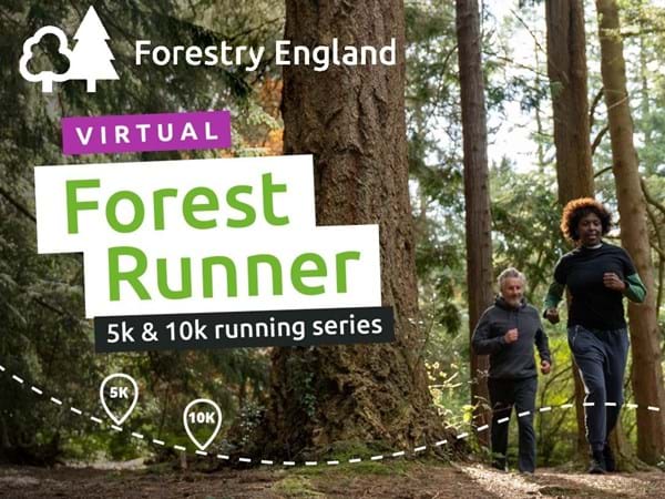 Forestry with logos x2.jpg