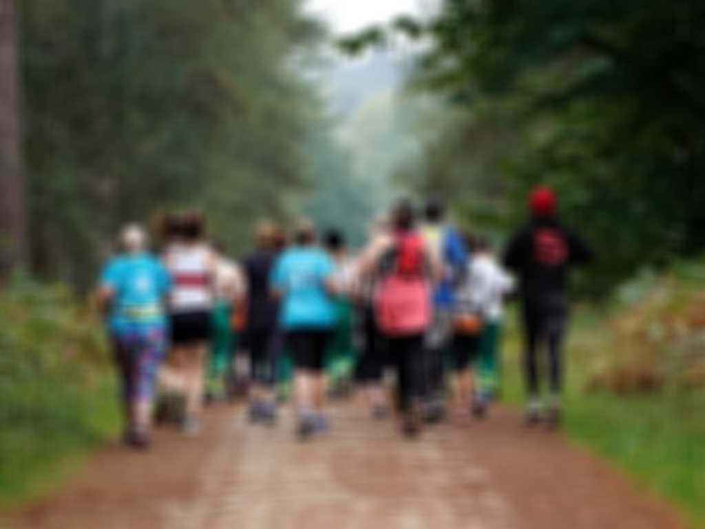 Forestry England5jpg.jpg blurred out