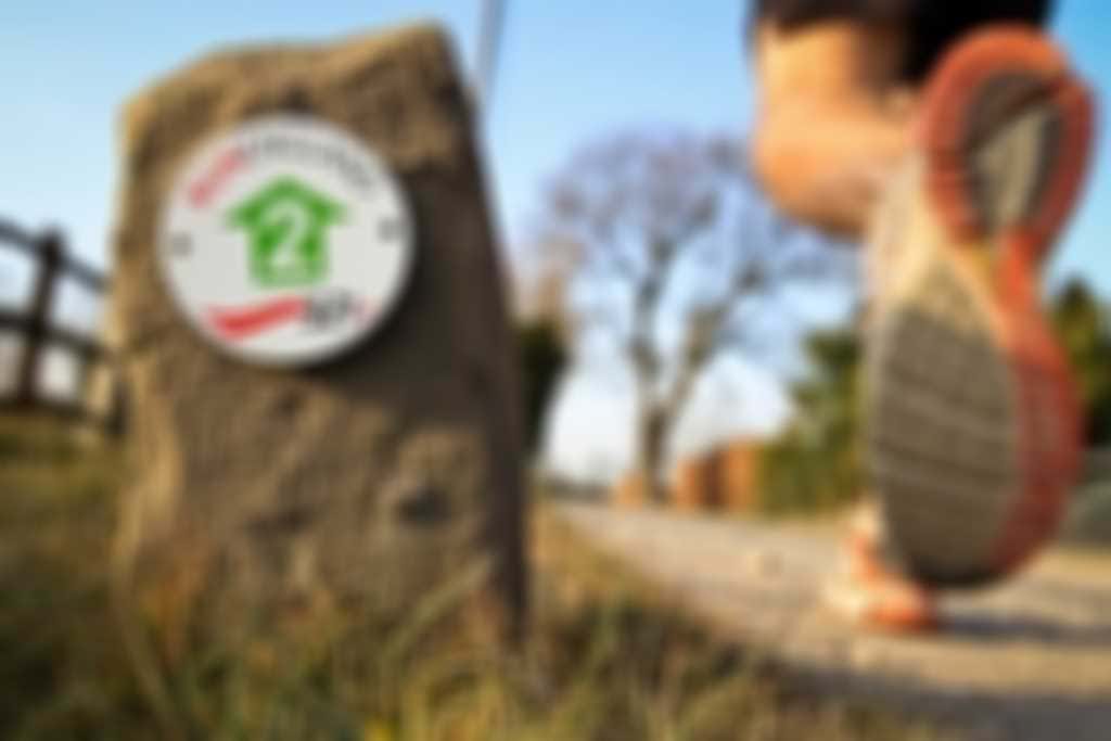 3-2-1_running_shoe.jpg blurred out