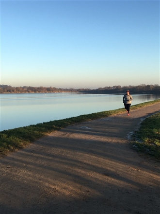 British Oak ///wiping.songs.cute - TRF Wednesdays - Tingley