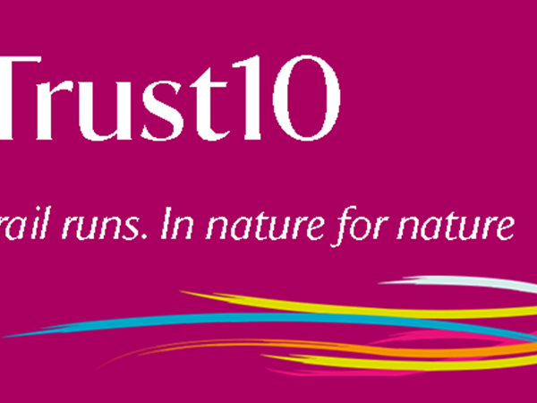 T10 Compact logo.png